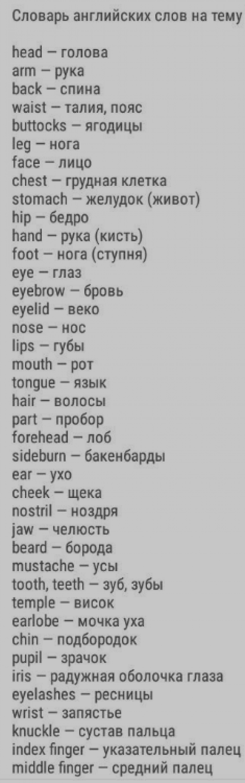 Словарь Английских слов на тему.Человеческое тело.
